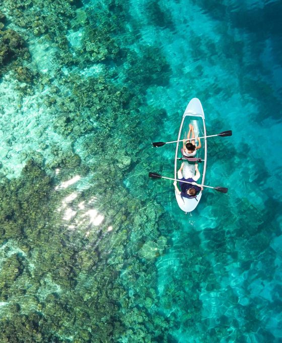 pexels-asadphoto-1320684