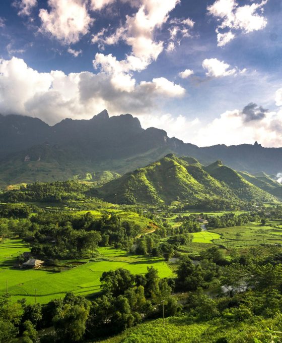 pexels-qhung999-2965773