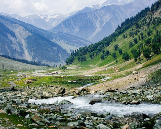 yasser-mir-wXTa0Wnsjnw-unsplash